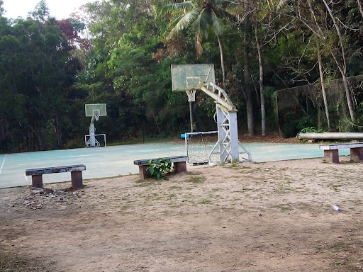 Sp11
