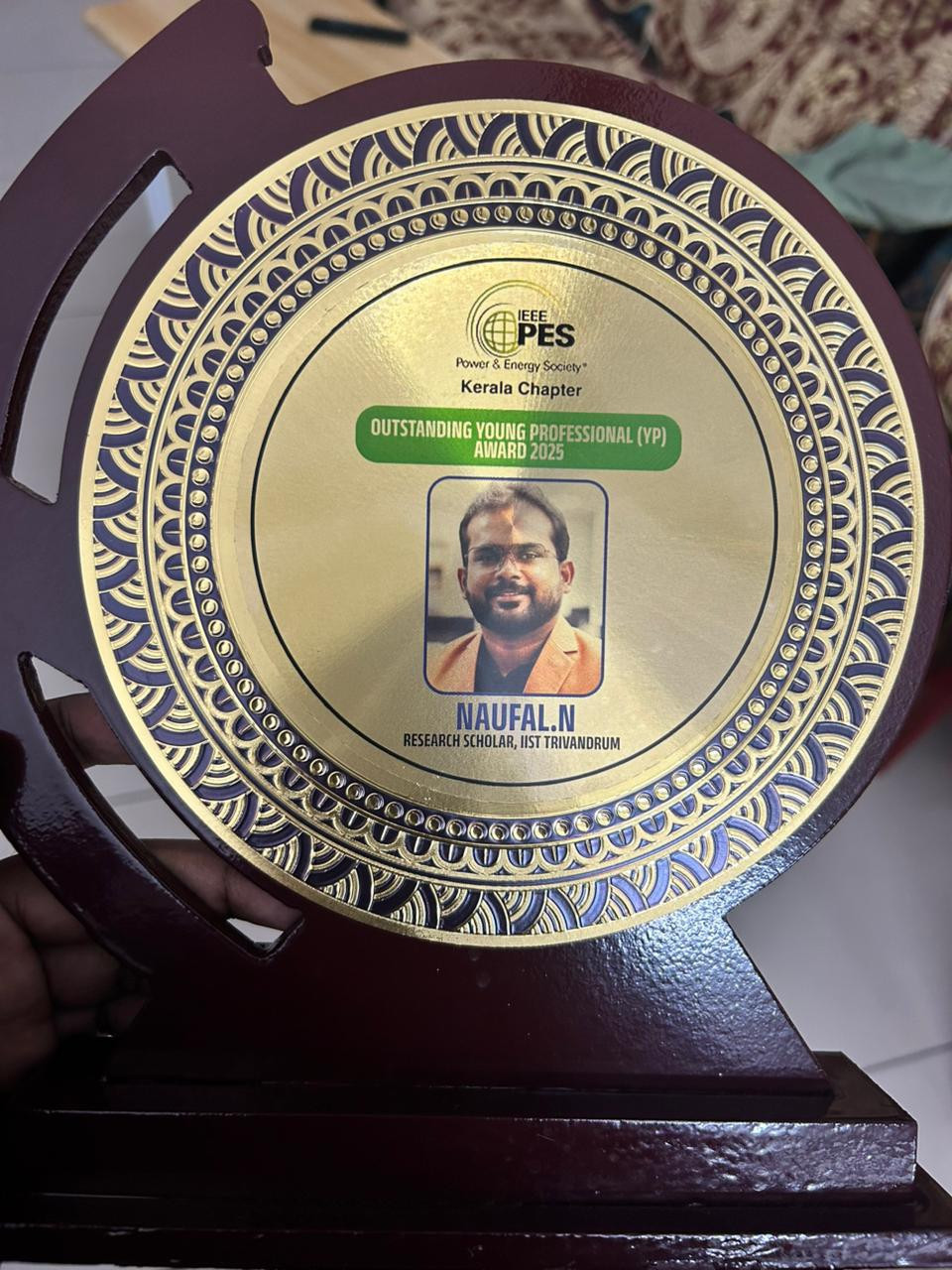 IEEE Power and Energy Society Outstanding Young Professional Award 2025