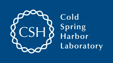 CSPHL