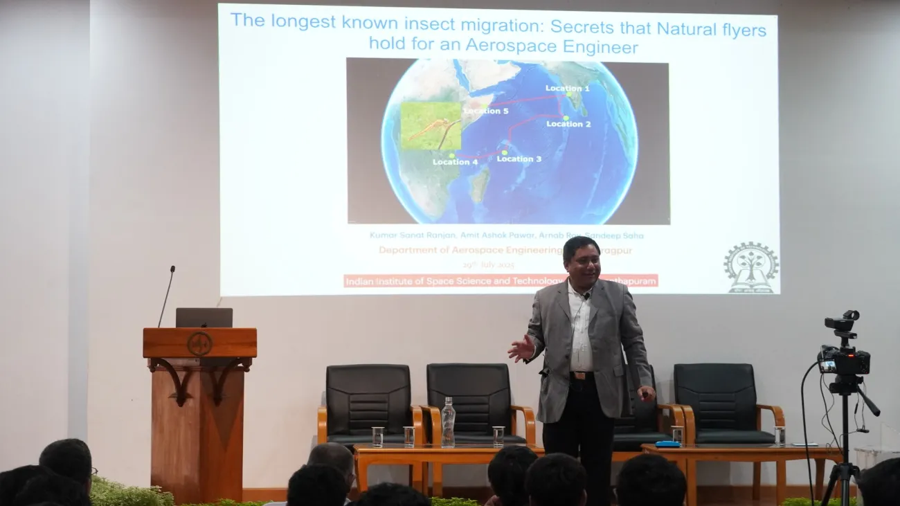 The longest known insect migration